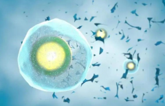 精子、卵子和胚胎冷冻技术