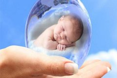 试管婴儿的胚胎移植过程简介